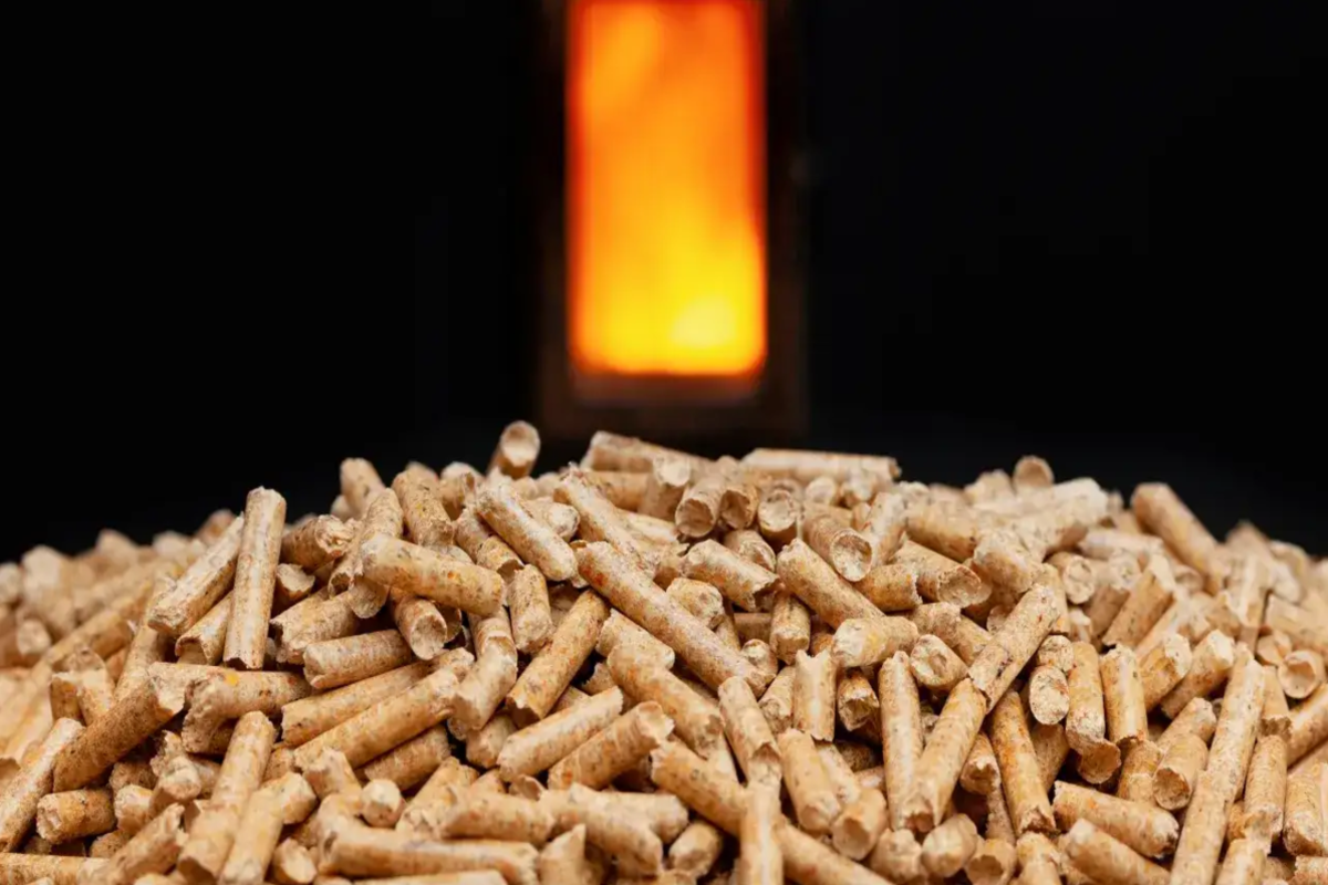 Giải pháp nhiên liệu sinh khối từ Phúc Thịnh Sa Đéc được doanh nghiệp quan tâm